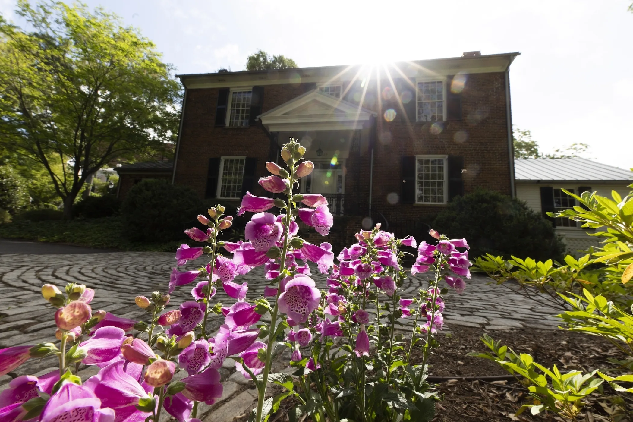 UGA’s 2026 Humanities Festival begins March 16