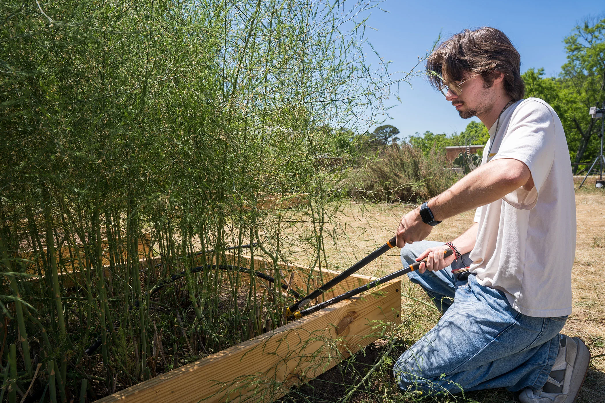 Sustainability, tested daily: Inside UGA’s living laboratory