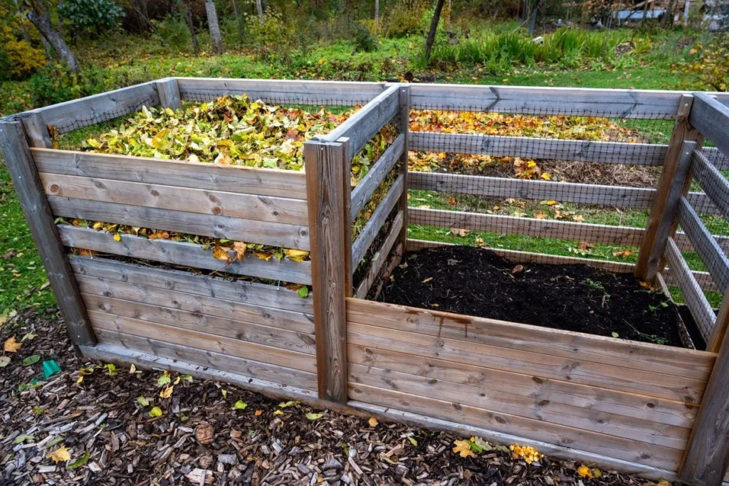 Do’s and don’ts of composting: A simple guide for beginners