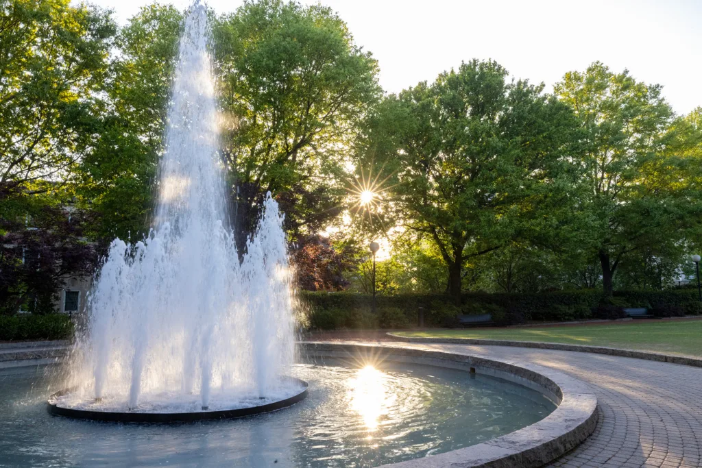 New members appointed to UGA Foundation Board of Trustees