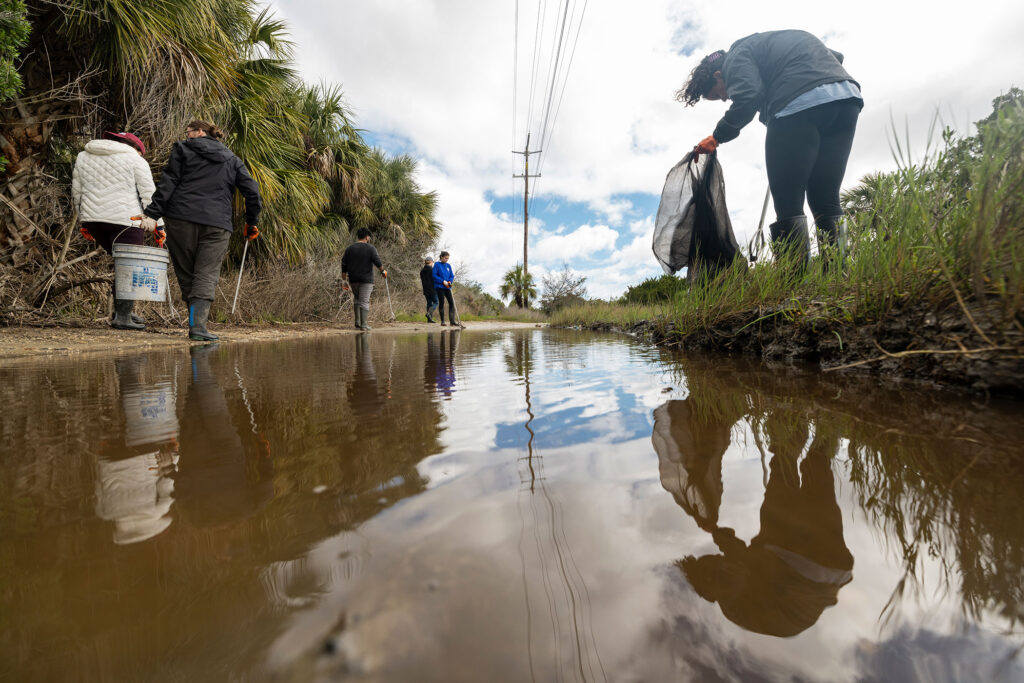 UGA students collect litter on Tybee Island during a spring break service trip.