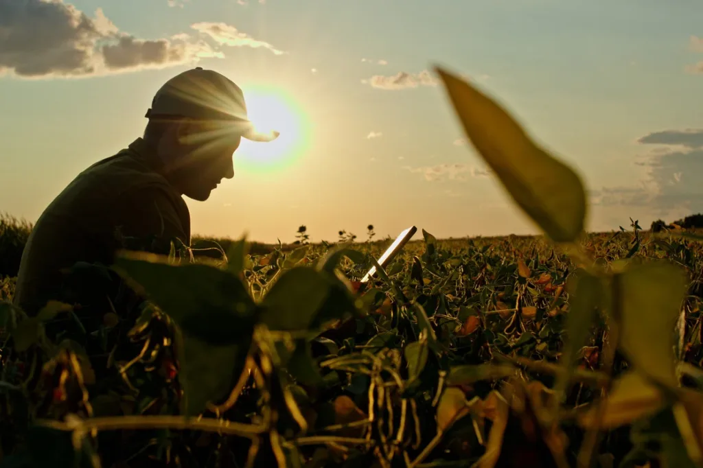 Why don’t more farmers use cover crops? UGA research offers answers