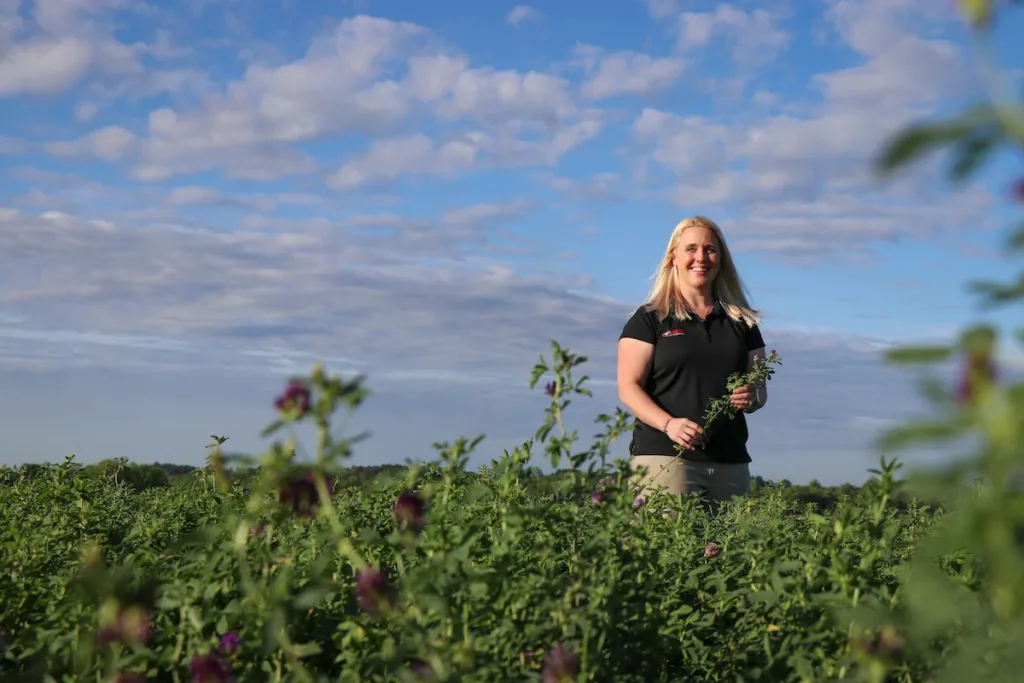 UGA researcher looks at ‘the queen of forages’ for Southern beef cattle