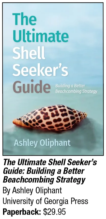 Screenshot of book cover