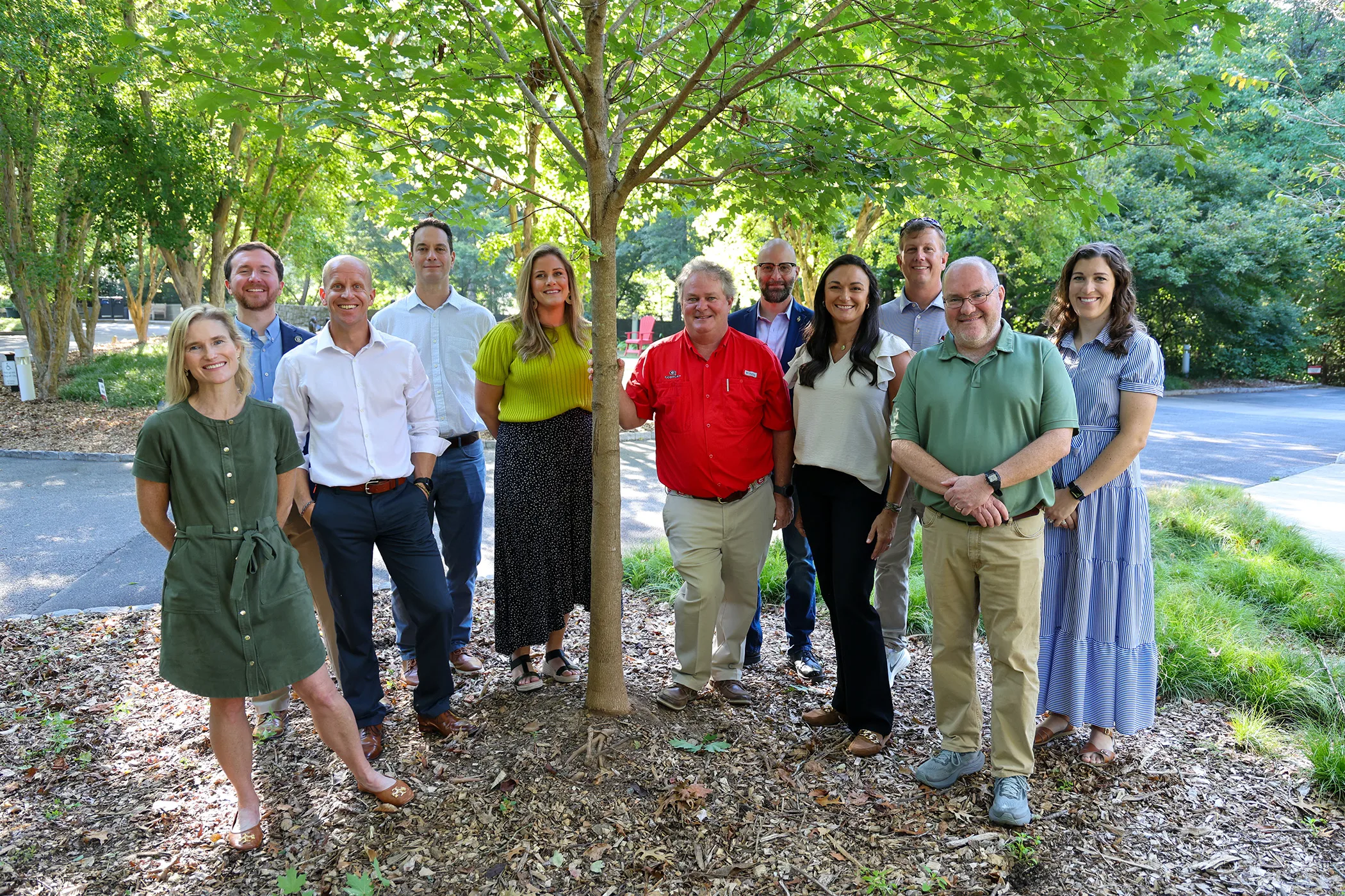 Partnership project supports replanting tree canopy lost to Hurricane Helene 