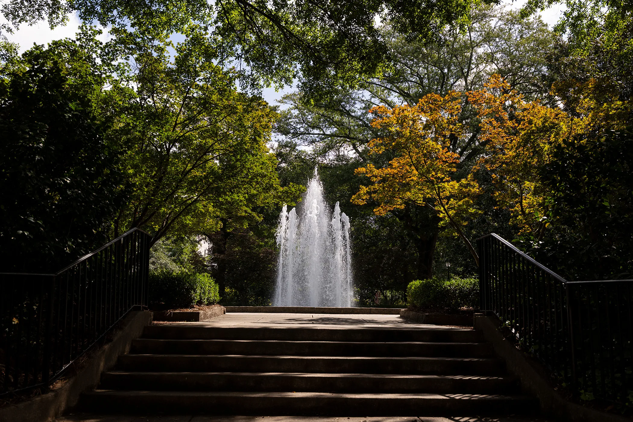 UGA welcomes second cohort of Faculty Innovation Fellows