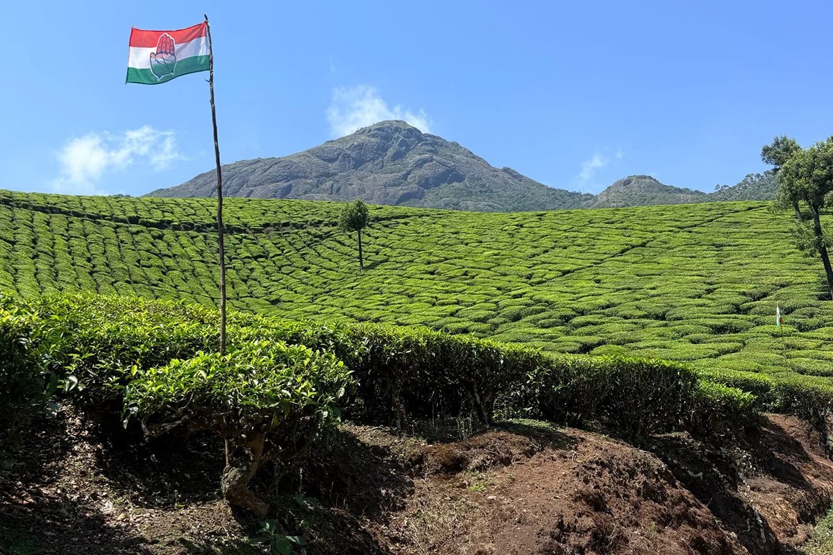 CAES offers four new food and agriculture study abroad programs