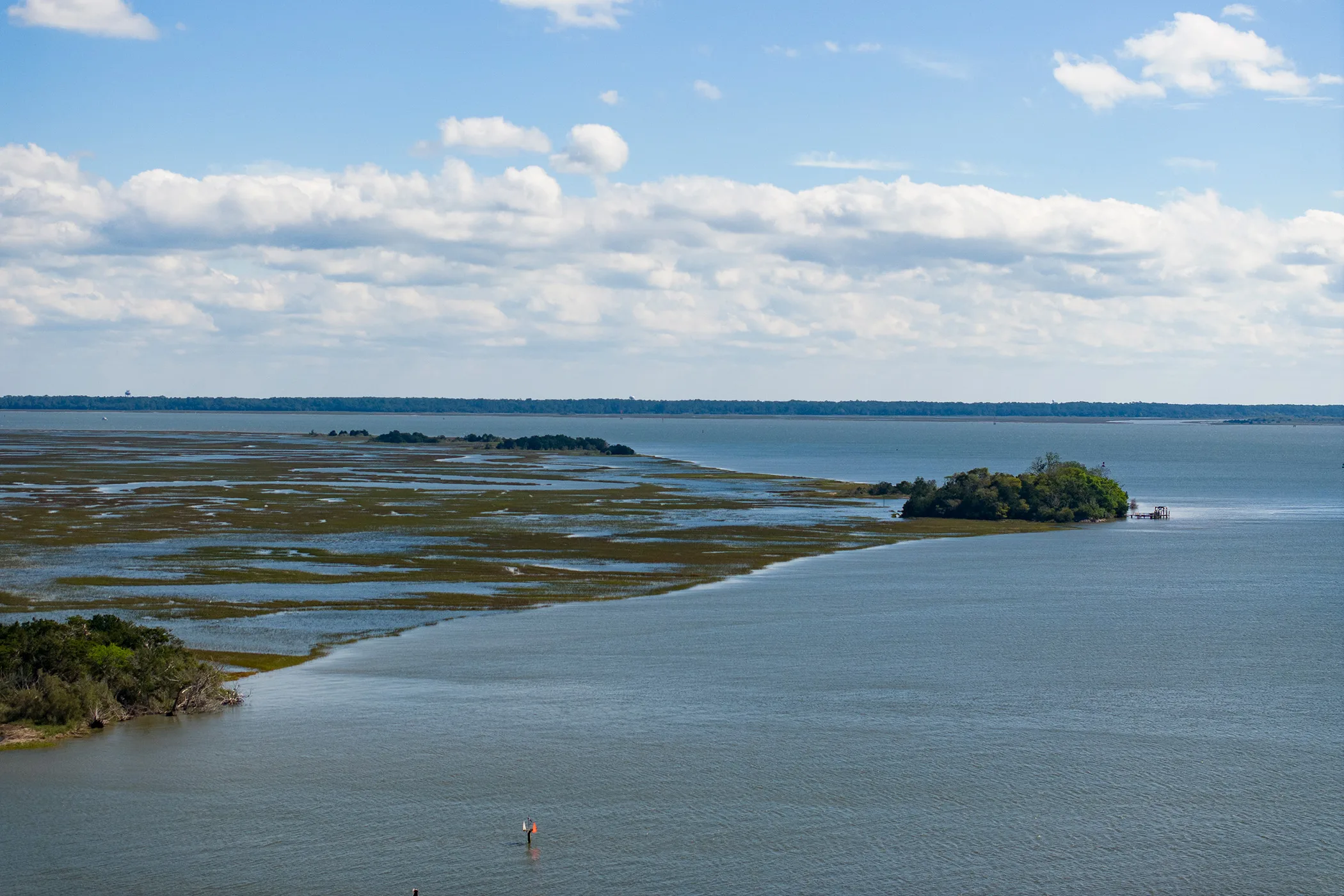UGA awarded $8M NOAA grant to restore salt marsh in the Southeast