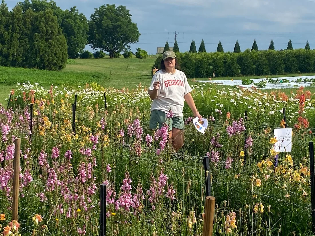 Growing value with cut flowers