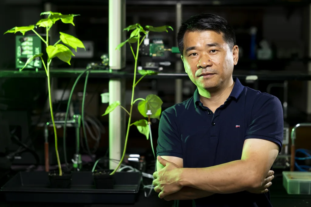Precision agriculture sensors help farmers detect drought, disease and crop stress early