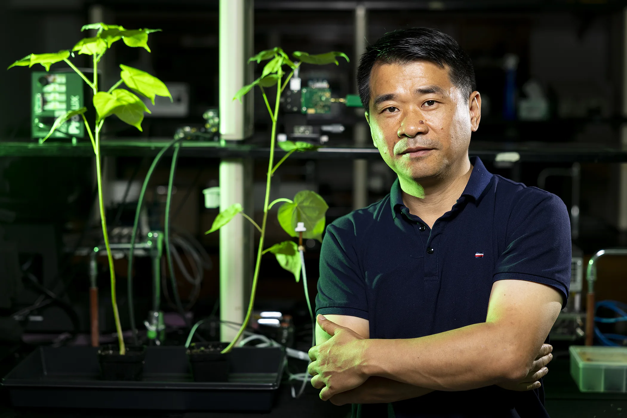 Precision agriculture sensors help farmers detect drought, disease and crop stress early